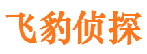 东阿私家调查公司